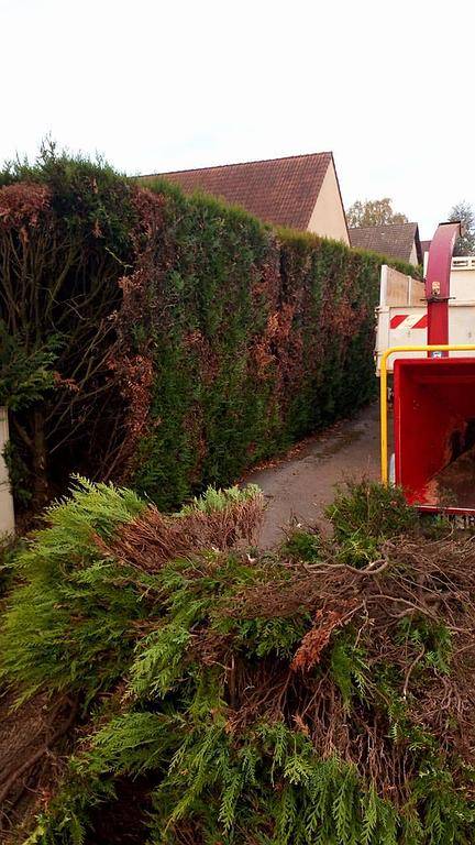 Entretient de jardin (3).jpg