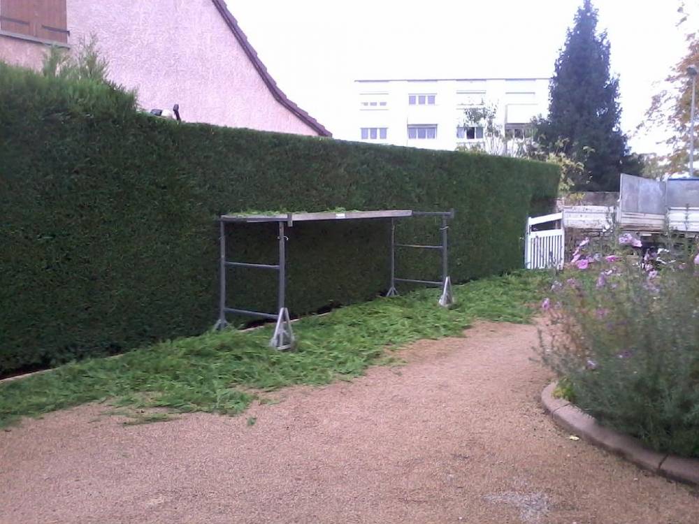 Entretient de jardin (4).jpg