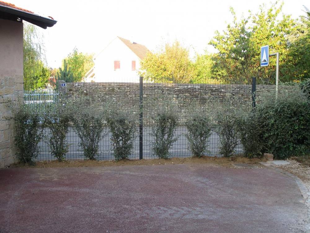 Aménagement extérieur (17).jpg